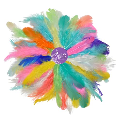 Image of Asian Hobby Crafts Natural Dyed Feathers for Craft Projects & Dream Catcher Making | 50 Premium Multicolor Feathers (4-5 inch Approx.) for Decorations & Art Creations | Bright & Vibrant, Multi-Pack