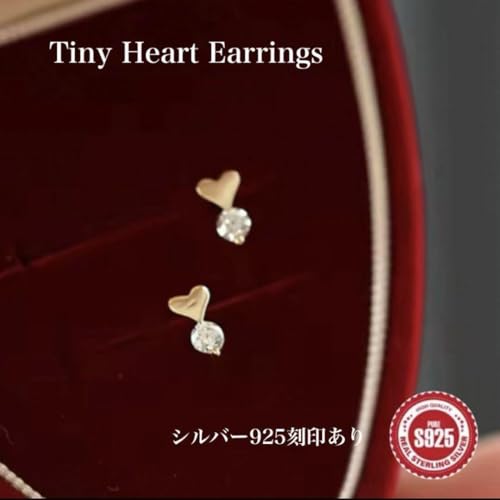 S[h n[g sAX K18 _Ch S925 ꗱ 