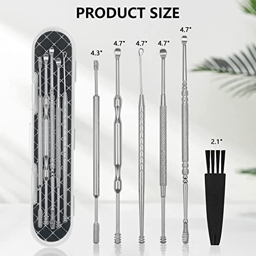 Hion Ohrenreiniger, Ohrenschmalz Entferner 6 in1 Medizinischer Ohrreiniger aus Edelstahl mit Aufbewahrungskiste Ear Cleaner, Geeignet für Kinder Jugendliche und Erwachsene(Silber)