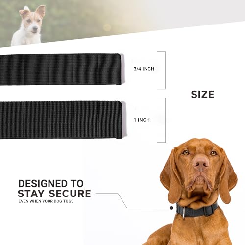 Image of Dog Collar - Colored Adjustable Pet Collars, 3 /4 Inch Wide, Medium, Forest Green