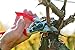 FELCO F8 Pruning Shears – 8.3