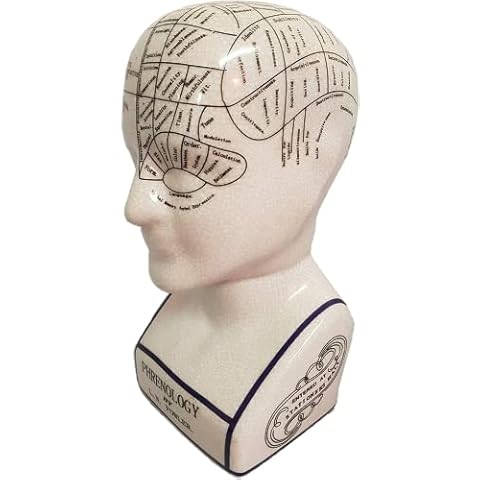 VCraft L.N Fowler Porcelain Phrenology Head Cover