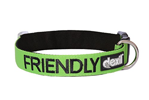 Friendly Green Color Coded S-M L-XL Buckle Dog Collar (Known As Friendly) Prevents Accidents by Warning Others of Your Dog in Advance (L-XL 15-25