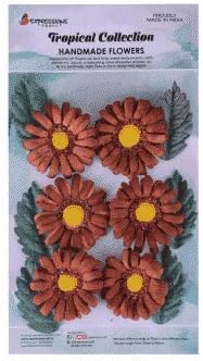 Expressions Craft Daisy-Brown Flowers