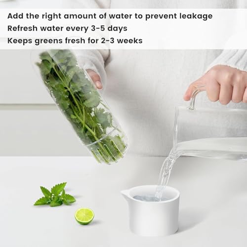 Image of Herb Keeper for Refrigerator, Fresh Herb Storage Container with Clear Dome, Keeps Cilantro Mint Parsley Asparagus Fresh 2-3 Weeks, 9.65 Inch, White, 1 Pack