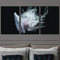 3 Piece Framed Canvas Wall Art Colorful Jellyfish Marine Life Canvas Prints Home Artwork Decoration for Living Room,Bedroom - 16