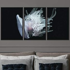 signwin 3 Piece Framed Canvas Wall Art Colorful...