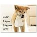 Calendar 2020, 2020 Wall Calendar with Thick Paper, 11.3" x 17" (Open), January - December 2020 - Toilet Paper Puppies