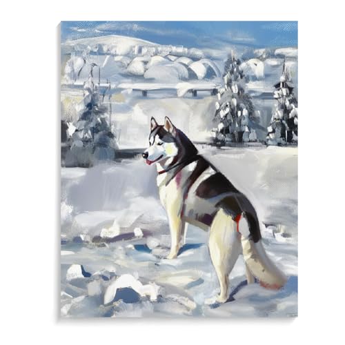 DIY Paint by Number for Adults Beginner Siberian Husky Dog Paint by Number on Canvas DIY Oil Painting for Gift Home Wall Decor 20x24inch(50x60cm) Frameless