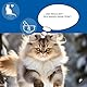 animaux Gastro Balance for Cats – 90 Kautabletten – Diät-Ergänzungsfuttermittel für Katzen, für Magen-Darm-Trakt, Verdauung, bei Durchfall, Verstopfung & Blähungen, mit Probiotika