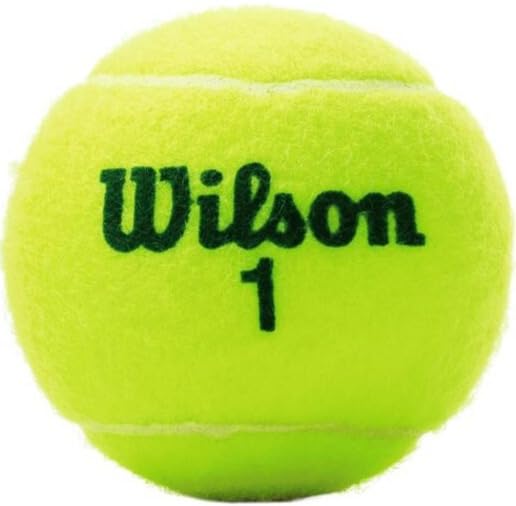Wilson US Open Tournament Transition Tennis Balls (Choose from Green, Orange or Red Dot Training Balls) - 3 Ball Can in Multi-Packs (2-24 Cans Available)