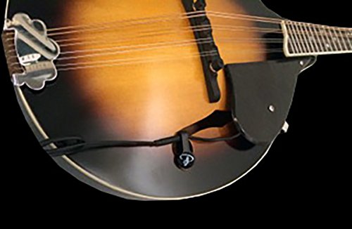 The Feather Mandolino Pickup with Flexible Micro-Gooseneck by Myers Pickups