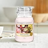 YANKEE CANDLE B003LQLPHW lato 4