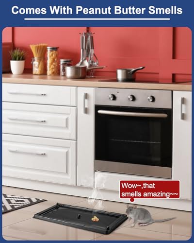 Rat & Mouse Glue Traps 6 Pack, Large Bulk Traps, Indoor for Home, Pre-Scented Adhesive Plastic Tray Inside House, Snake, Mice, Spider Pet Safe