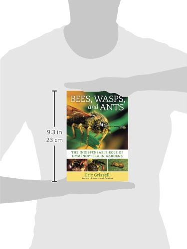 Bees, Wasps, and Ants: The Indispensable Role of Hymenoptera in Gardens