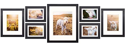 Frametory, Gallery Wall Frame Collection, Set of 7, Black Photo Frame with Mat & Real Glass