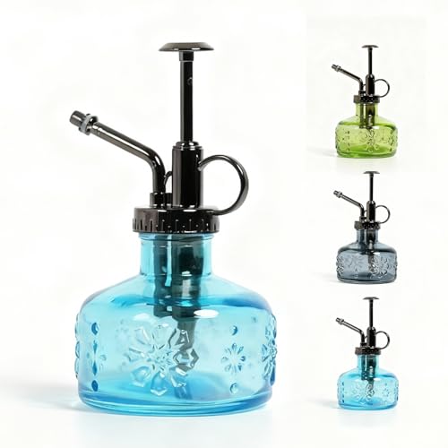 Bamworld Regadera Plantas de Vidrio Transparente, Azul regadera pequeña con Pico Largo y Fino, diseño Decorativo Ideal para suculentas, bonsáis y macetas de Interior