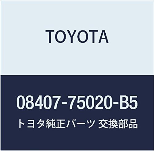 TOYOTA (toyota) Genuine Parts nanba-hure-muhuronto・riyasetto Part Number 08407 – 75020 – B5