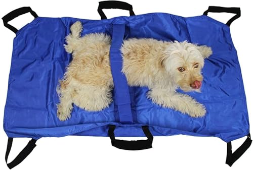 Jifocelt折りたたみ式動物担架犬用担架ペット輸送トロリー獣医用担架 (青です)