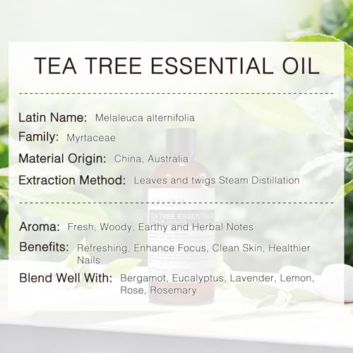 Aceite Esencial de Menta y Árbol de Té para Aromaterapia miniatura 5