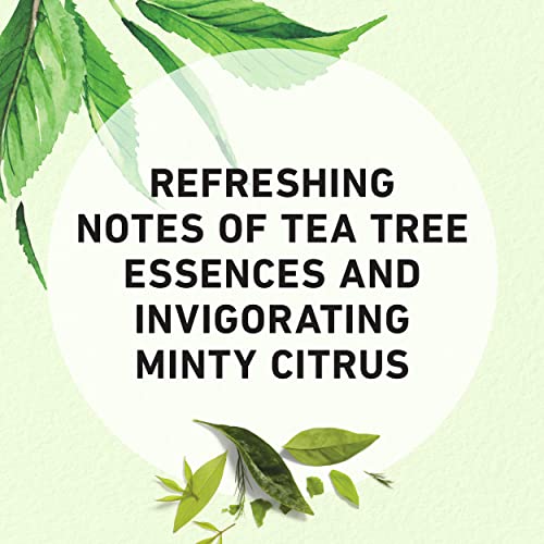 Herbal Essences, Clarifying Shampoo And Purifying Conditioner, Tea Tree And Jasmine, 20.2 Fl Oz Bundle #TOP7