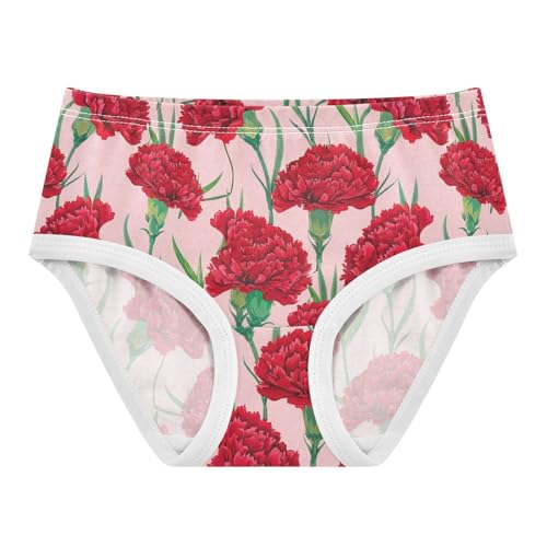 Joisal Colorful Toddler Girls Underwear 2t Cotton Panties Little Girl Red Carnation Flowers Pink Briefs Underpants