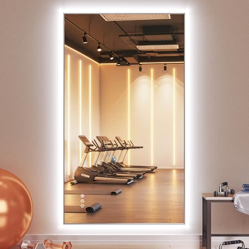 Hasipu 48''x30'' Mirror with Lights