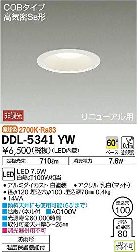 Amazon.co.jp: 大光電機（DAIKO） ダウンライト(軒下兼用) LED