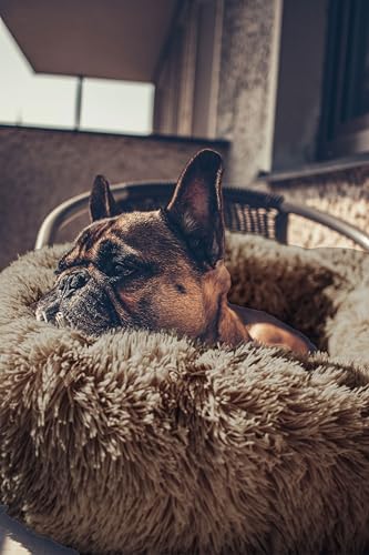 Domarex Weiches rundes Hundebett 110 cm XXL - Flauschiges Katzenbett mit hohem Rand - Shaggy Haustierkissen mit Silikonfüllung - gemütliches Anti-Rutsch - Schlafplatz für Hunde & Katzen - Beige