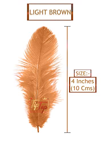 Image of TIPTOP DECORATION Natural Dyed Feathers 10 cm (80 pieces) (Light Brown)