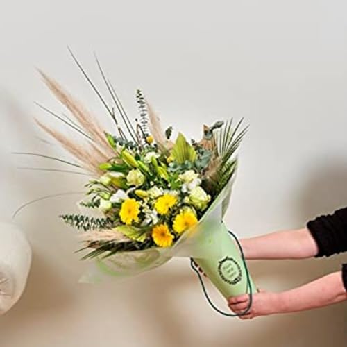 Image of Oasis Paper Gift Bag, 2pcs, Tall With Handle Empty, Decorative, Reusable, 30x9 cm, Multipurpose Birthday, Anniversary, Wedding, Return Gifts Hamper Packaging Porto Cone Pink