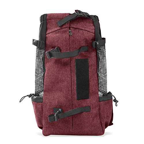 Zaino Trasportino Per Cani E Gatti Pieghevole, Ventilato, Con Cinturino Di Sicurezza, Per Viaggi E Escursioni - Foto 6