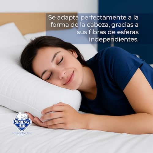 Listado de Un par de almohadas favoritos de las personas. 20 un par de almohadas marca Spring Air (2)