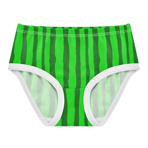 Joisal Aesthetic Toddlers Underwear Floral 2t Cotton Little Girl Panties Chic Green Stripes Kids Briefs Undies