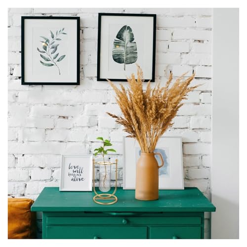 Florero hidropónico de cristal en U jarrón decorativo transparente 5