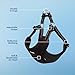 Best Pet Supplies Voyager Adjustable Step-in Flex Breathable Mesh Dog Harness for Small Medium Large Dogs (Black), S