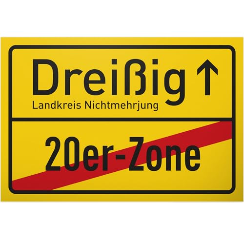 DankeDir! Dreißig 20er Zone - Schild 30 x 20 cm - Geburtstagsgeschenk 30....