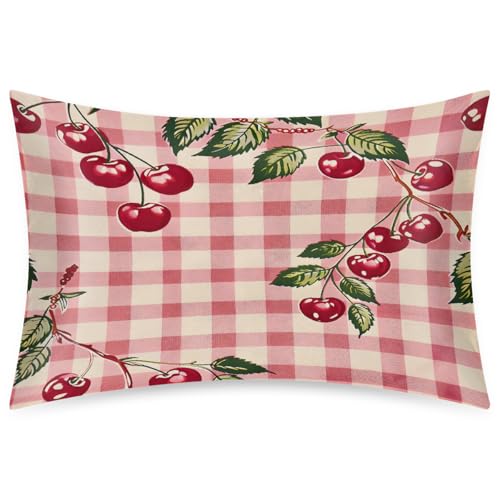 Envelope Closure Satin Pillow Cases for Hair and Skin Queen Size Silk Red Pretty Fruit Pillowcase Soft Lightweight Cooling Pillow Cover for Sleeping Women Men Kids 20 * 30in-1Pack