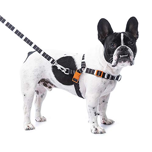 Conjunto Peitoral Anti-Puxao G Eclipse