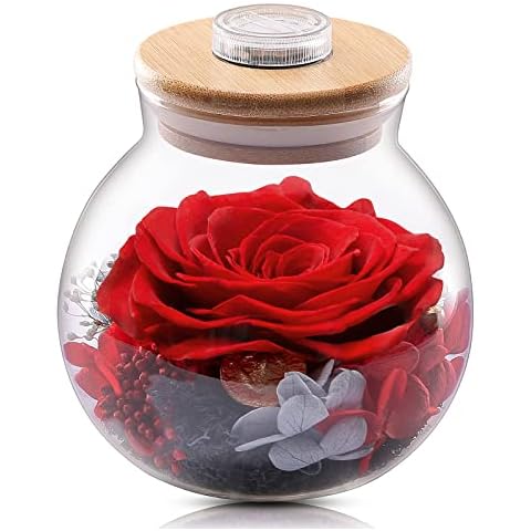 Valentines Day Gifts for Her,Valentines Rose Gifts For Mom,Birthday Gifts for Women,Red Preserved Flowers Real Rose Gift,Glass Rose Flower Gift with Wishing Bottle,Light Up Rose Gift for Women,Her,Mom Cover