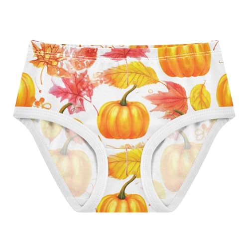 Watercolor Pumpkin Autumn Orange Toddler Underwear Custom 2t Cotton Cute Panties Girl Durable Briefs Girls Undies