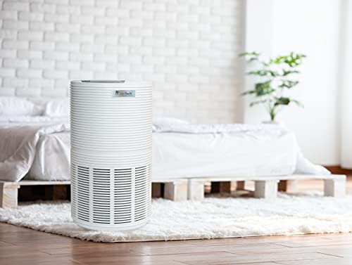 FeinTech FLR00100 Purificateur d'air avec filtre HEPA 13 commandé par capteur Air Purifier CADR 300 m³/h – Image 3