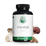🌿 HOCHDOSIERT VITAL PILZE KAPSELN: Tagesdosis 1300mg. Extrakt aus veganen Vital Pilzen (Chaga, Cordyceps, Hericium, Maitake, Reishi, Shitake, Agaricus). Vorrat für 3 Monate.