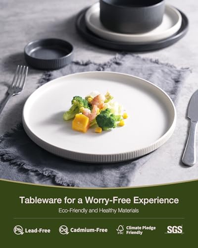 Image of Famiware Star 12-Piece Stoneware Dinnerware Sets for 4, Reactive Glaze Plates and Bowls, Modern Rustic Dishes for Everyday /Formal Use, Chip /Scratch Resistant, Microwave /Dishwasher Safe, White & Black
