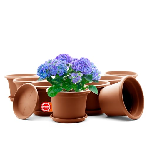 BigDean 8 Stück Blumentopf mit Untersetzer rund ø 30 cm Terrakotta – wetterfester Pflanzkübel Made in Europe BigDean 8 Stück Blumentopf mit Untersetzer rund ø 30 cm Terrakotta – wetterfester Pflanzkübel Made in Europe