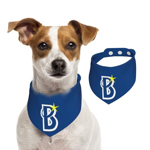 ybgo_i lDeNa׃CX^[Y ybgpt^I p Lp OpXJ[t ̎ K lN^C ȒPE TCY\ @ U Hp 􂢉  킢 ybgpi ANZT[ a v[g