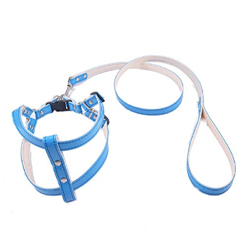 TYCHWZRMV(売店)犬が道具を引っ張る、 犬用牽引ロープ 子犬用首輪 犬用ハーネス リーシュセット(Blue)