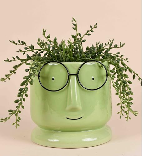 Image of Ceramic Face Planter with Glasses Design | Cute Cartoon Head Flower Pot for Indoor Plants, Succulents, Office Desk, or Home Decoration | Green