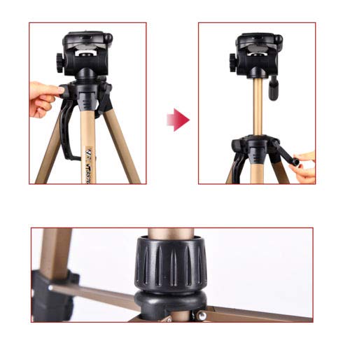FidgetGear Max Load 3Kg 23.6”70.8” Tripod Stand with Ball Head for