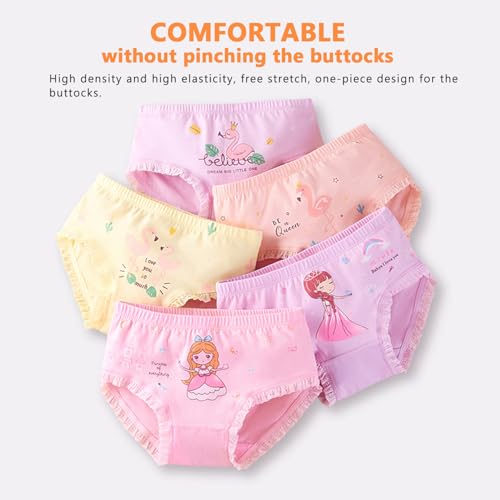 Toddler Cotton Panties Little Big Girls Assorted Undies Girls' Briefs Breathable Comfort Soft Underwear (5 Pack)2
